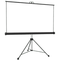 6' tripod screen