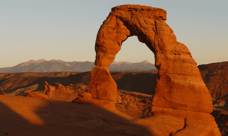 event inspiration from nature
